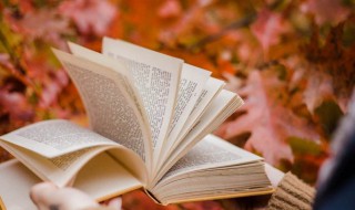 2022关于秋天的唯美又治愈的文案(2020秋天文案短句温柔)