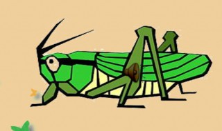 蝈蝈和蛐蛐的区别在哪里 蝈蝈和蛐蛐有啥区别