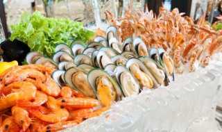 河蚌怎么处理内脏 河蚌怎么处理干净