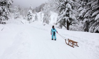 2022冬奥会七言诗（2022冬奥会七言诗四句书法）