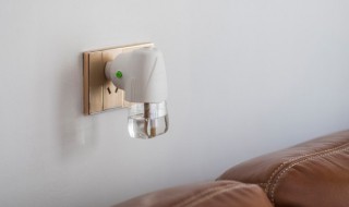 电蚊香可以开一整个晚上吗（电蚊香能开一整晚吗）