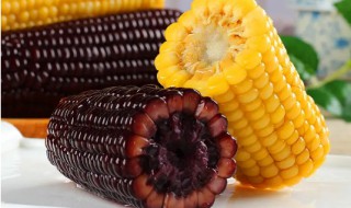 黑玉米和黄玉米的营养价值一样吗 黑玉米有营养还是黄玉米有营养