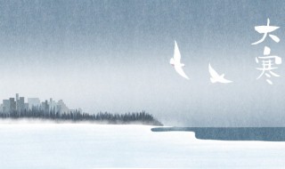 大寒和小寒哪个更冷 大寒和小寒哪个更冷蚂蚁