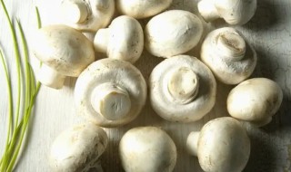 口蘑变成褐色还能吃吗 口蘑里面棕色能吃吗