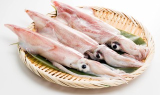 墨鱼干小的好还是大的 墨鱼干小的好还是大的好