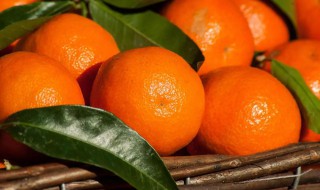 皇帝柑吃了会加重湿气吗