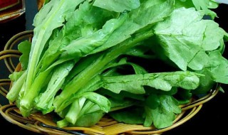 茼蒿杆子可以吃吗（蒿子杆怎么吃好）