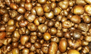 山药豆去皮吃还是连皮吃（山药豆要去皮吃吗）