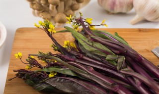红菜苔嘌呤高吗（海苔嘌呤含量高吗）
