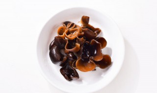 秋木耳和黑木耳有哪些区别呢（黑木耳和秋木耳一样吗）