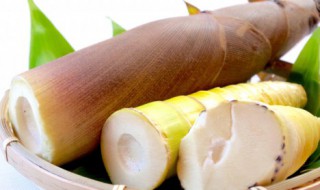春笋的营养价值高吗（春笋有营养价值吗）
