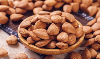 新鲜杏可以放冰箱冷冻吗 鲜杏能放冰箱冷藏保存吗