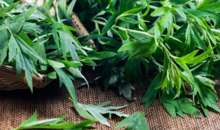 艾叶水洗脸后要清洗吗 艾叶水洗完脸还需要用清水洗洗吗