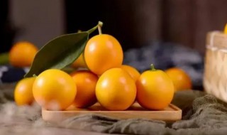 金桔吃了嘴麻是怎么回事（金桔吃了嘴麻麻是什么原因）