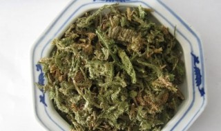 豨莶草的营养价值 豨莶草的功效和作用