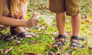 风油精加水可以驱蚊吗（风油精和水可以灭蚊吗）