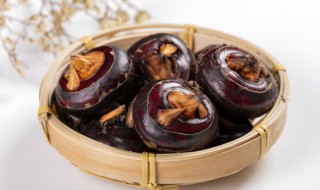 马蹄煮熟的功效与作用禁忌（煮熟的马蹄的功效与作用禁忌）