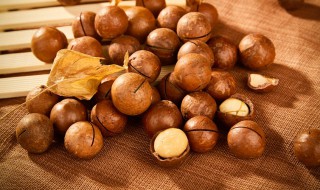 夏威夷果每天吃多少为宜 夏威夷果一天最多吃多少