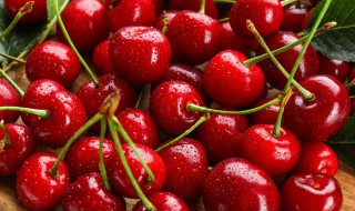 一天吃了30颗车厘子会胖吗（车厘子一天吃了50个会长胖吗）