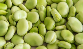 蚕豆怎么保存时间长 蚕豆怎样保存时间长