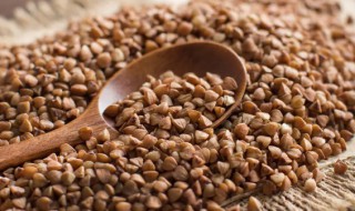 荞麦和全麦哪个热量高（全麦和荞麦哪个热量低适合减肥）