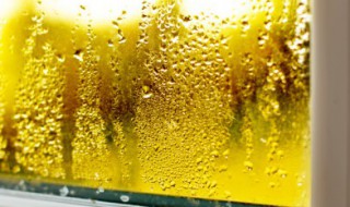 加湿器不如一盆水是真的吗（加湿器还有水吗）