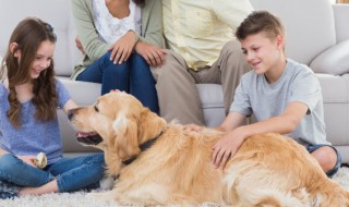 初中生叛逆期沉迷手机 初中生叛逆期沉迷手机拒绝沟通