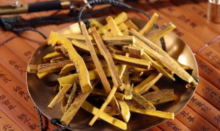 黄柏的营养价值 黄柏的营养价值及功效与作用