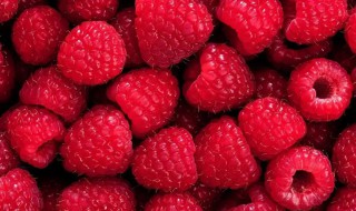 覆盆子酒的功效与作用禁忌 覆盆子酒的功效与作用