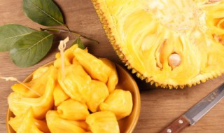 菠萝蜜皮里面那层薄衣可以吃吗 菠萝蜜皮里面的那层薄衣可以吃吗