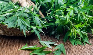 艾叶煮鸡蛋有什么禁忌 艾叶煮鸡蛋的禁忌