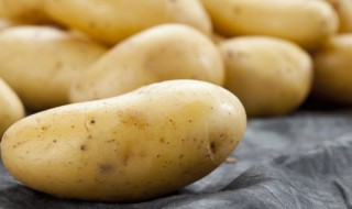 土豆和鸡蛋能一起做菜吃吗 鸡蛋和土豆可以一起吃吗一起做吗