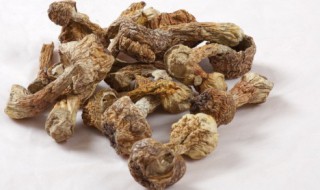 松茸怎么清洗外面黑黑的要洗掉吗（松茸黑黑的那层要洗吗）