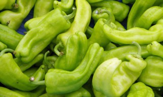 种植哪种辣椒产量最高 什么品种的辣椒产量高