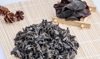 种植木耳需要什么条件（木耳种植技术要用什么木头?）