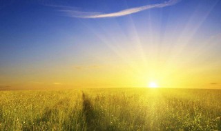 太阳神的寓意和象征（太阳的含义和象征）