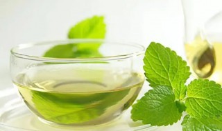 薄荷油的营养价值(薄荷油的用途和作用)