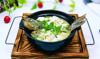 怎么用砂锅熬鲫鱼汤（鲫鱼可以用砂锅煲汤吗）