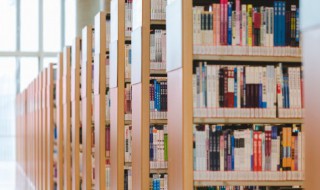 赵宗全是哪个朝代的皇帝 赵宗全什么朝代