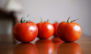 砂锅西红柿顿豆皮怎么做好吃（茄子土豆砂锅怎么做）