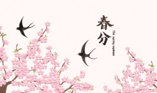 春分白天和黑夜一样长吗（春分之后黑夜开始长过白天对不对）