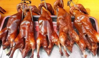 烤鸭可以放冰箱冷冻吗（烤鸭能不能放冷冻）
