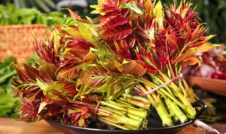 香椿没焯水吃了怎么办（香椿芽没有焯水吃了怎么办）