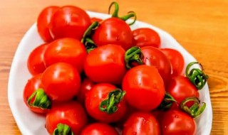 圣女果的寓意 圣女果象征着什么