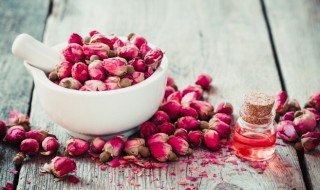 食用鲜玫瑰花可以冷冻吗 玫瑰花可以冷冻储藏吗