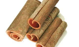 肉桂的营养价值(肉桂的功效与作用)