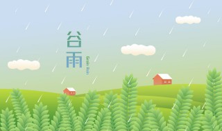 谷雨茶是什么时候的茶 谷雨茶属于什么茶