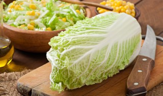 白菜哪个朝代传入中国 大白菜在中国最早可以追溯到什么时代