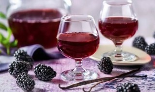 桑葚酒的营养价值（桑葚酒有什么营养）
