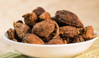 草果泡水的功效与作用(草果水的功效与作用及禁忌)